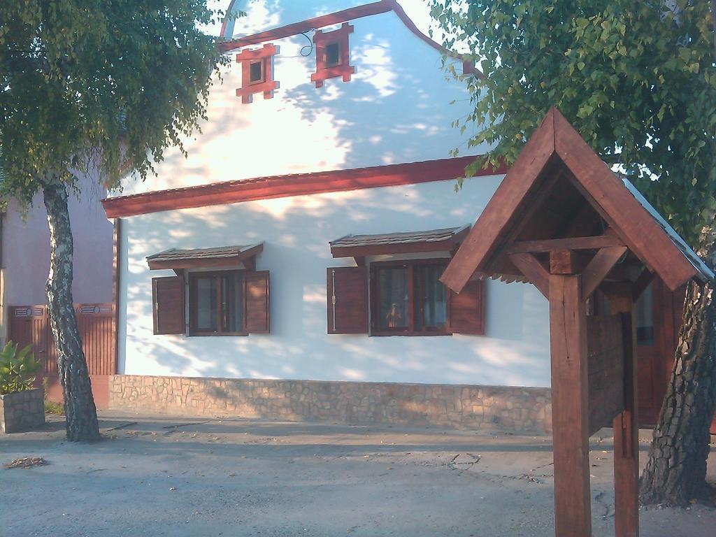 Santa Maria Apartment Donji Kovilj エクステリア 写真