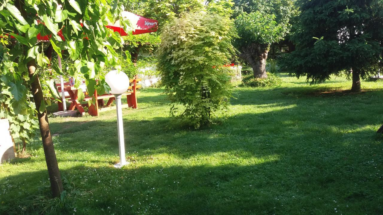 Santa Maria Apartment Donji Kovilj エクステリア 写真