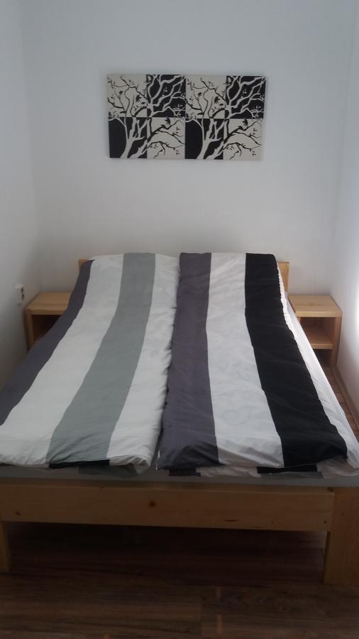 Santa Maria Apartment Donji Kovilj エクステリア 写真