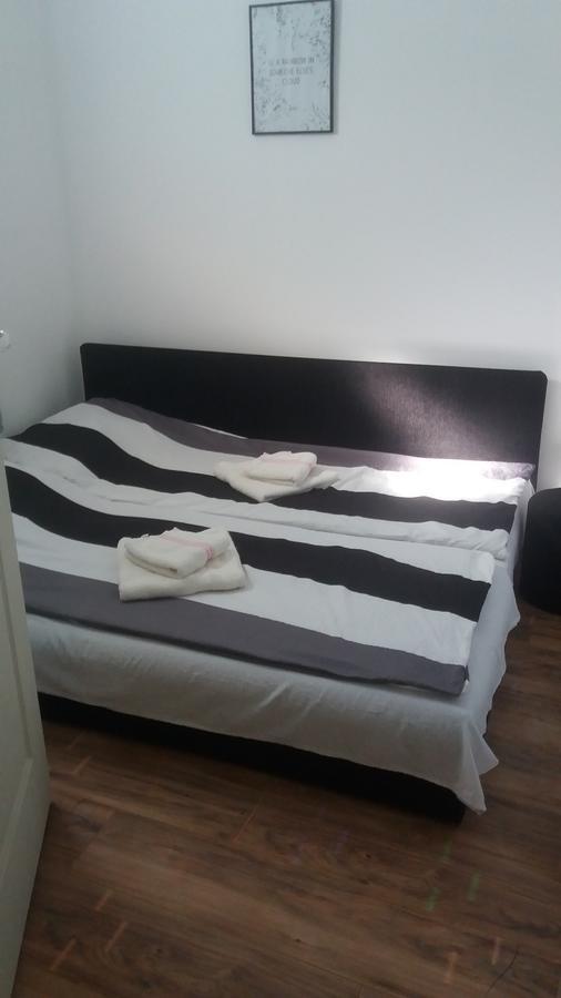 Santa Maria Apartment Donji Kovilj エクステリア 写真