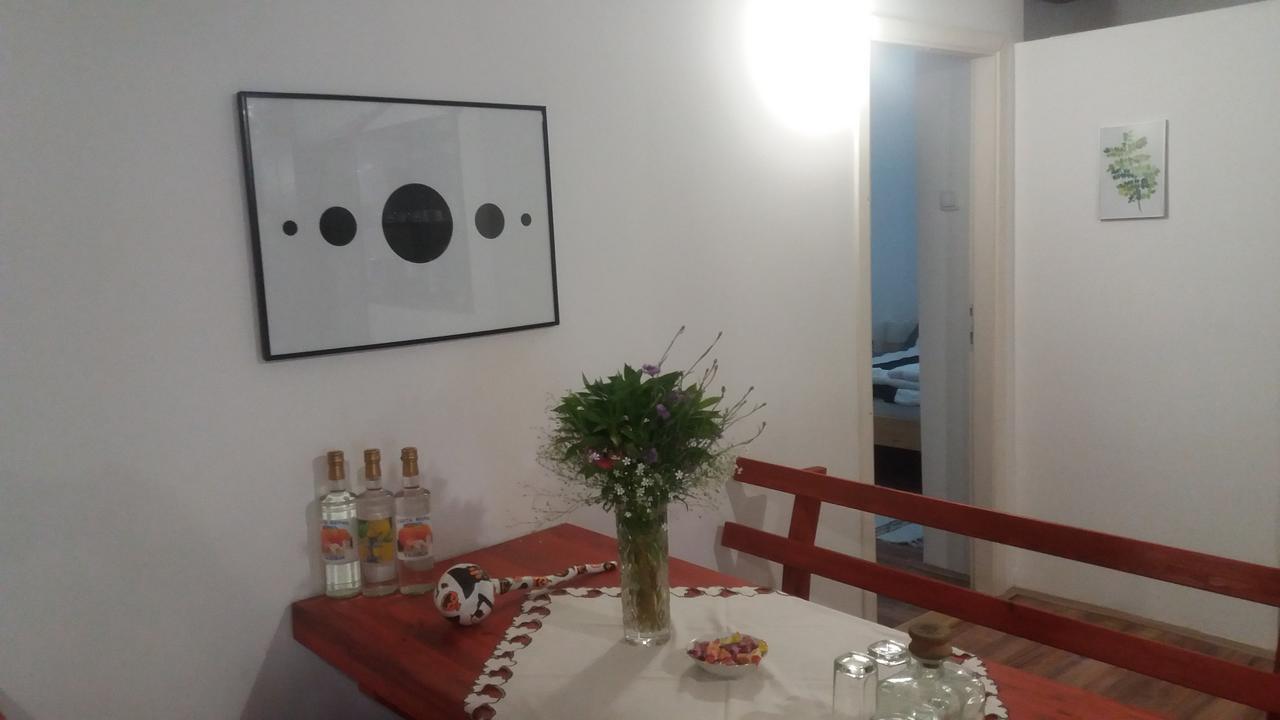 Santa Maria Apartment Donji Kovilj エクステリア 写真