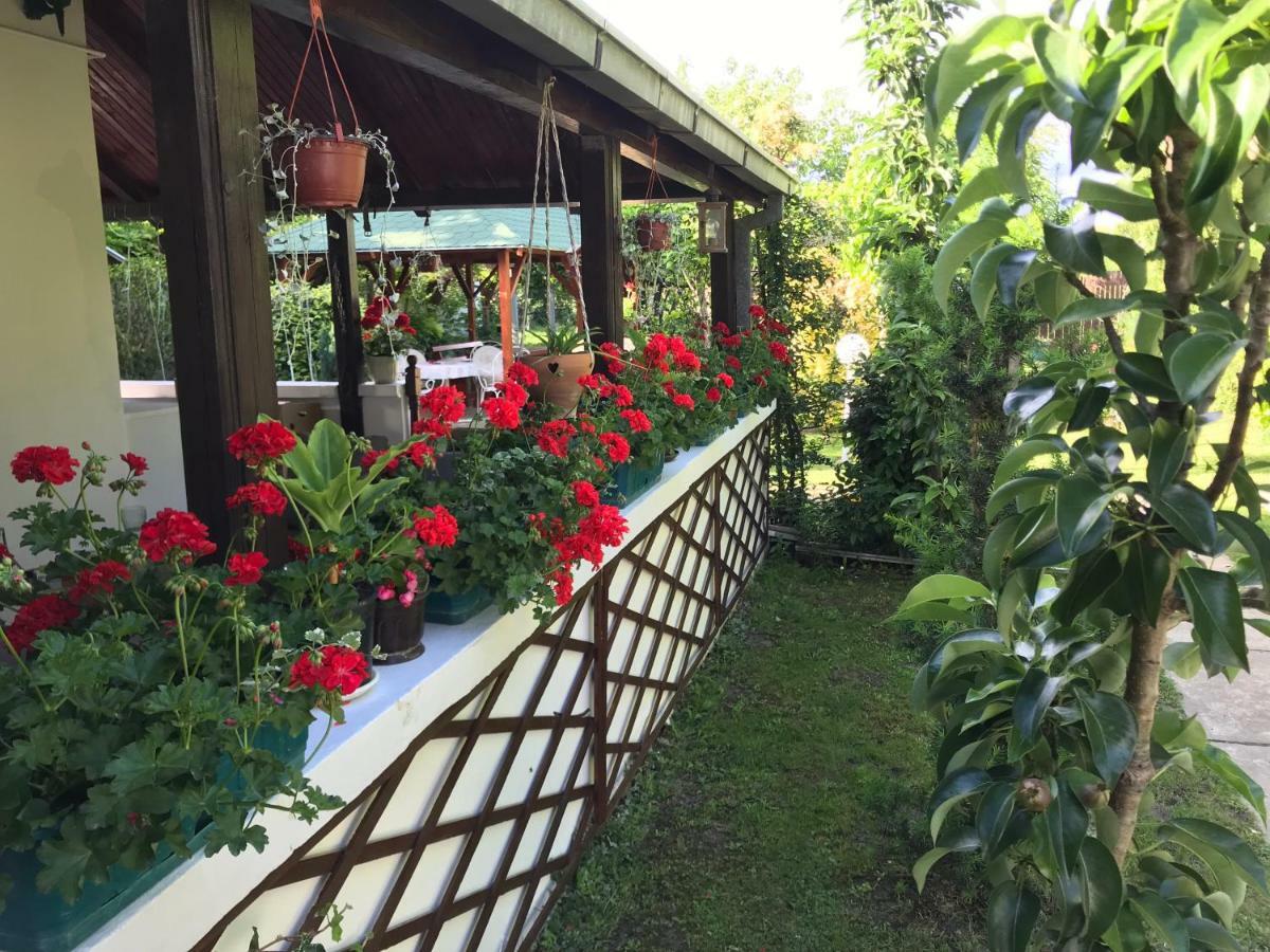 Santa Maria Apartment Donji Kovilj エクステリア 写真